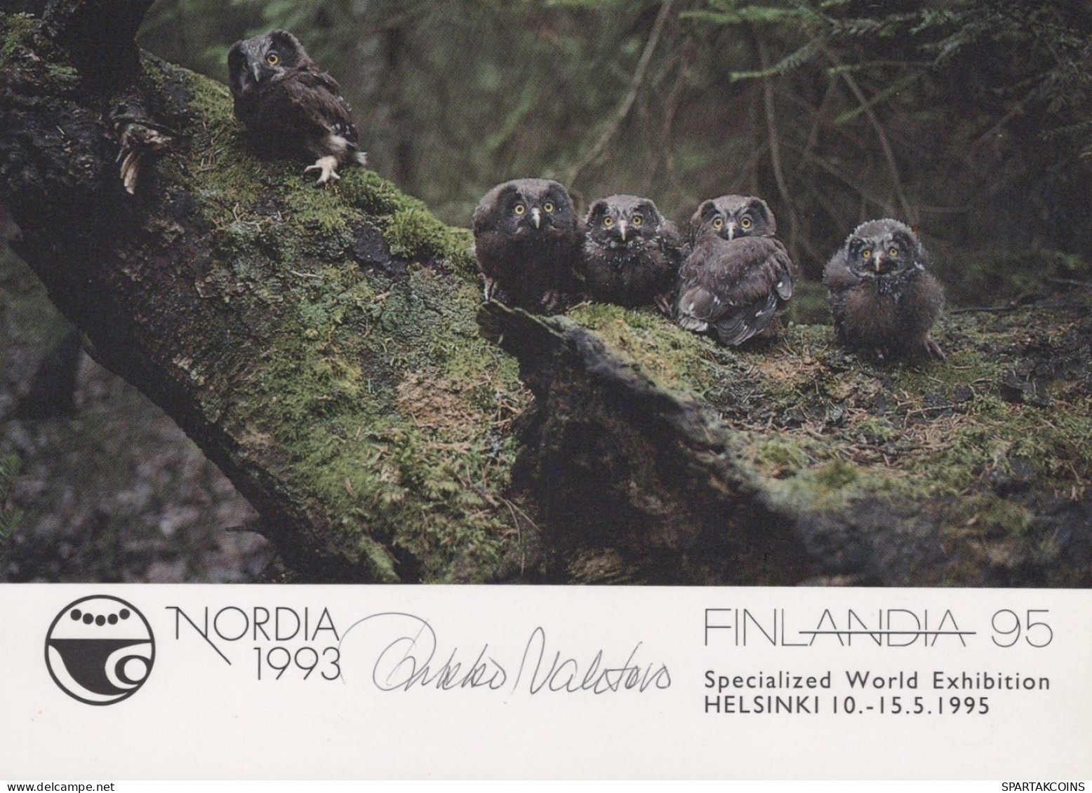 OISEAU Animaux Vintage Carte Postale CPSM #PAN265.A - Uccelli