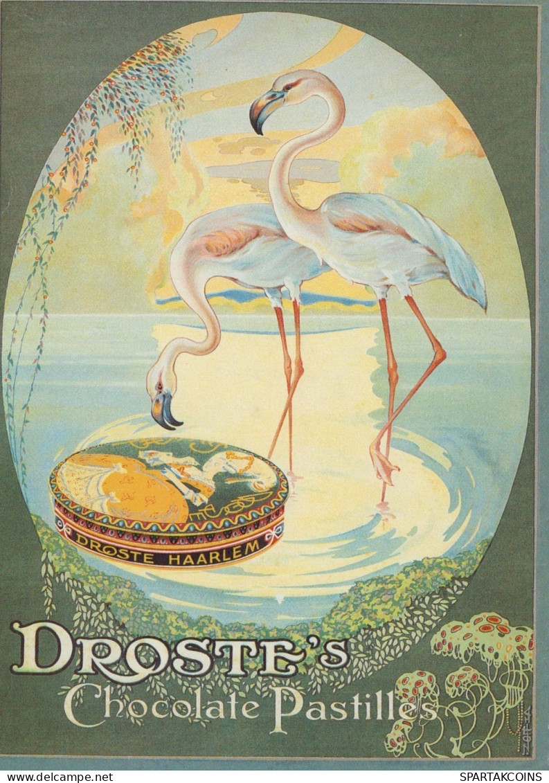 PÁJARO Animales Vintage Tarjeta Postal CPSM #PAN193.A - Birds