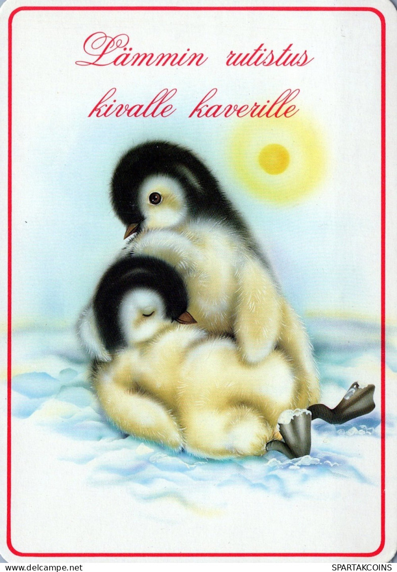 BIRD Animals Vintage Postcard CPSM #PAN137.A - Uccelli