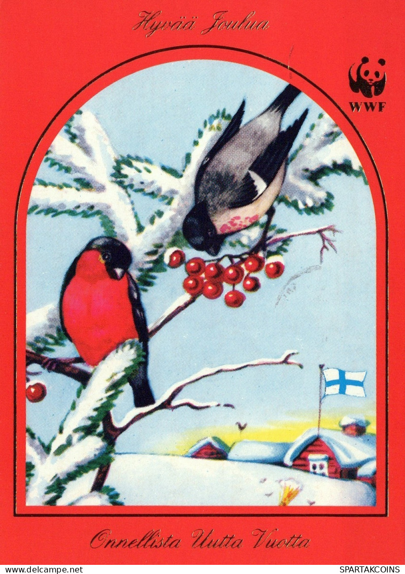 OISEAU Animaux Vintage Carte Postale CPSM #PAN085.A - Vogels