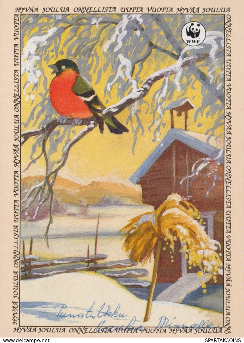 PÁJARO Animales Vintage Tarjeta Postal CPSM #PAN093.A - Birds