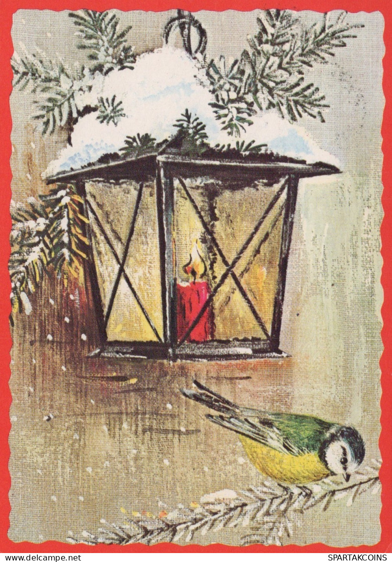 VOGEL Tier Vintage Ansichtskarte Postkarte CPSM #PAN081.A - Uccelli