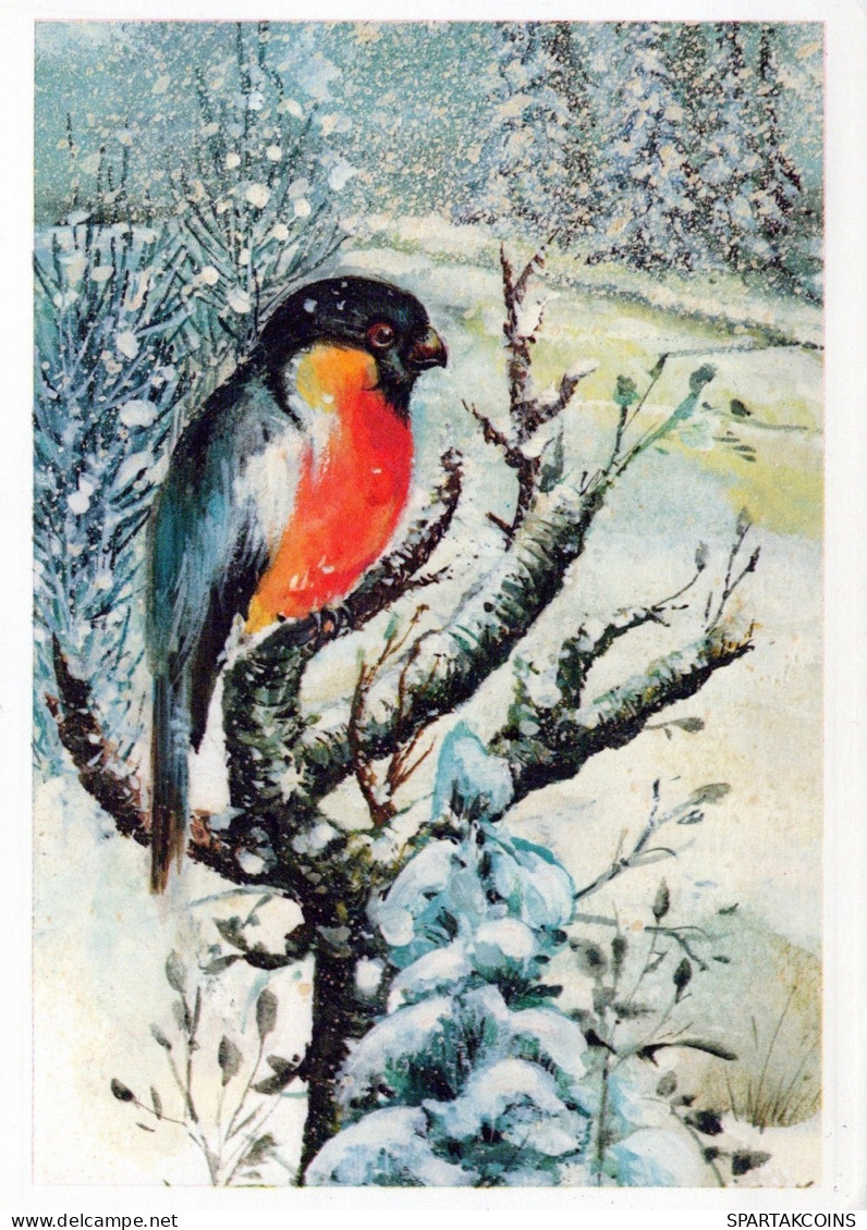 UCCELLO Animale Vintage Cartolina CPSM #PAN029.A - Birds
