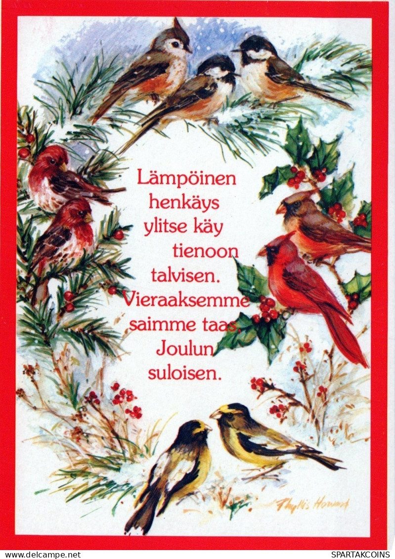 BIRD Animals Vintage Postcard CPSM #PAM816.A - Vogels