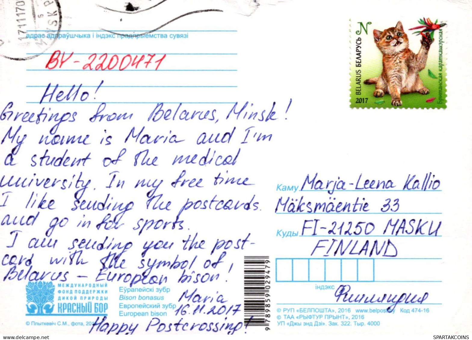 VACHE Animaux Vintage Carte Postale CPSM #PBR817.A - Vaches