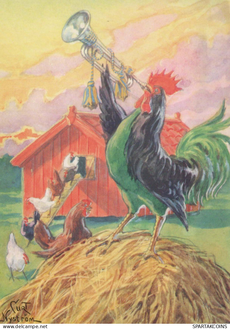 BIRD Animals Vintage Postcard CPSM #PBR609.A - Oiseaux