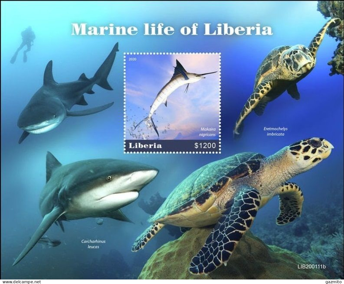 Liberia 2020, Animals, Marine Life, Fishes, Turtle, Diving, Block - Vissen