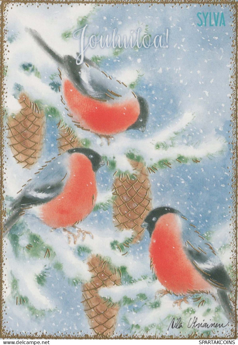 OISEAU Animaux Vintage Carte Postale CPSM #PBR512.A - Uccelli