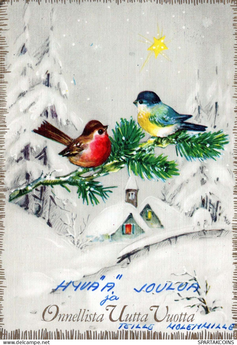 PÁJARO Animales Vintage Tarjeta Postal CPSM #PBR400.A - Vögel