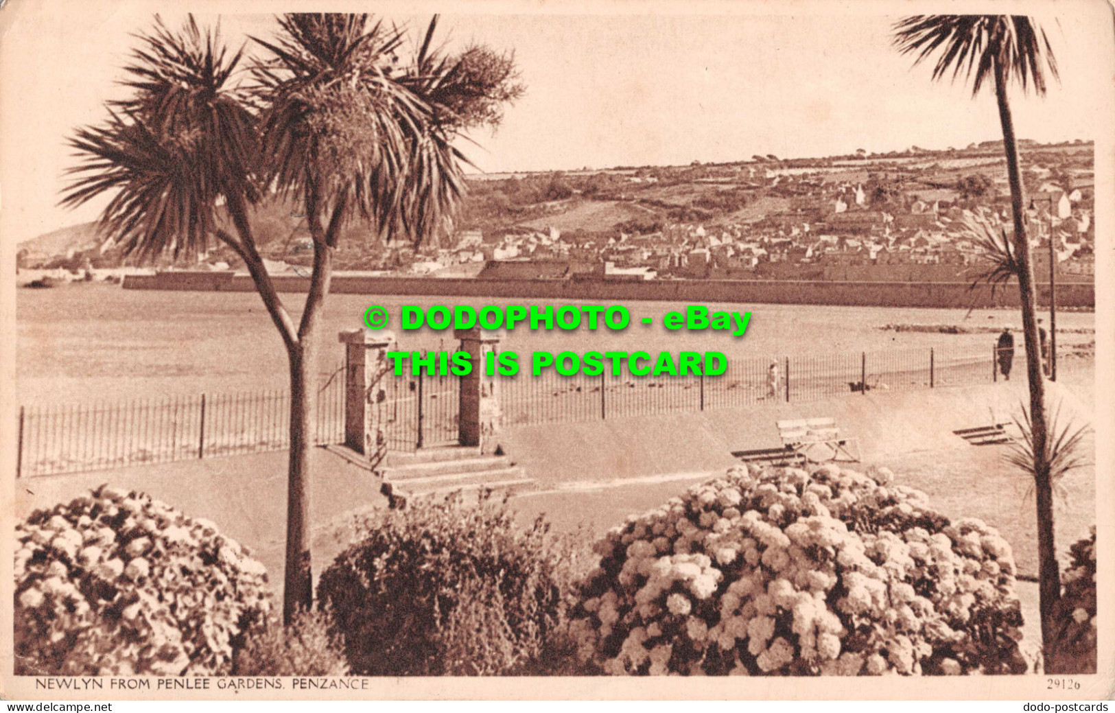 R549182 Penzance. Newlyn From Penlee Gardens. 1953 - World