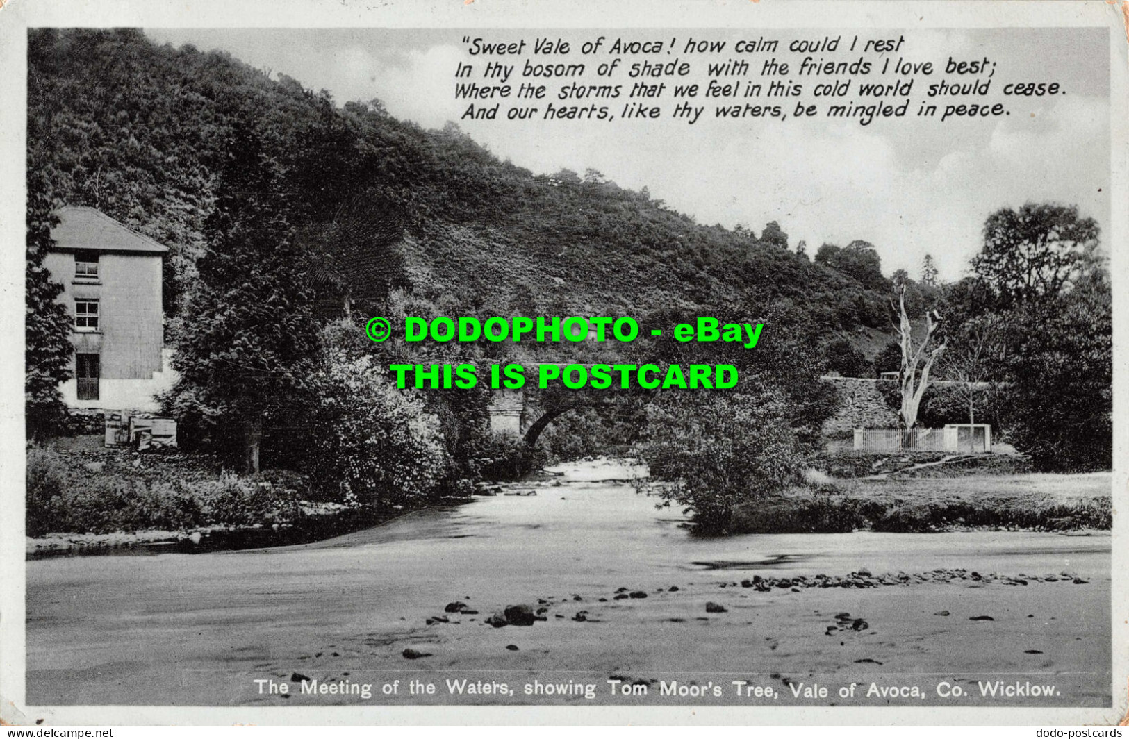 R549183 The Meeting Of The Waters. Showing Tom Moore Tree. Vale Of Avoca Co. Wic - World