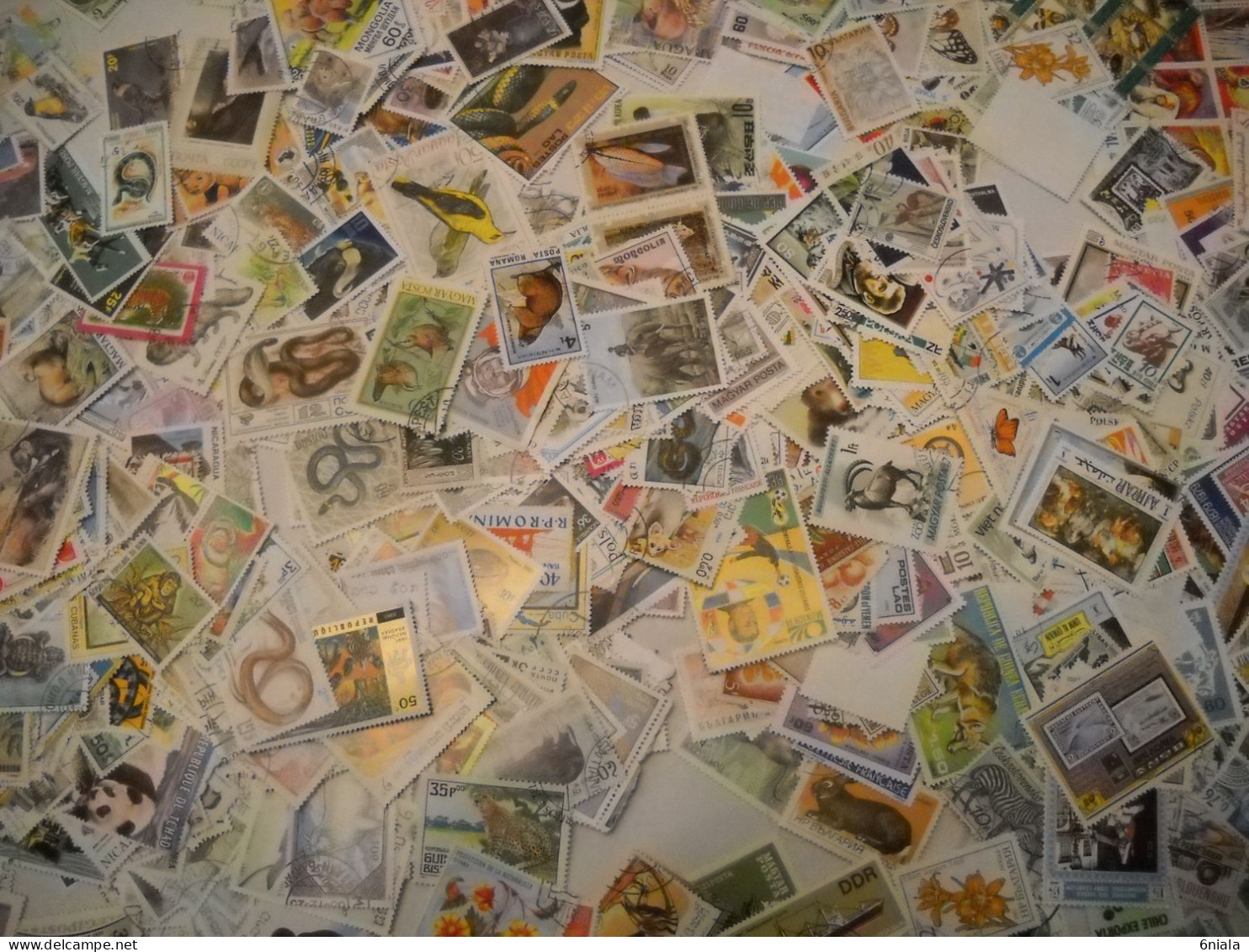 TIMBRES THEMATIQUE DIVERS MONDE  170 G  Animaux, Chats, Chiens, Reptiles Papillons, Voitures, ETC ..VOIR SCANS - Mezclas (min 1000 Sellos)