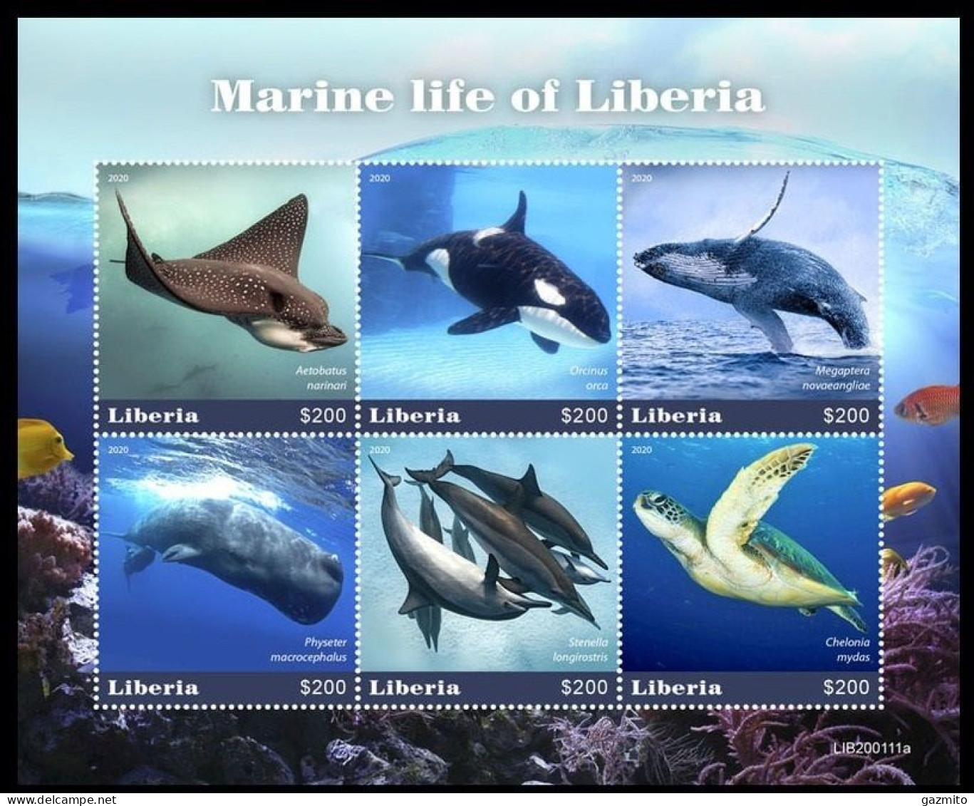 Liberia 2020, Animals, Marine Life, Fishes, Turtle, Whale, Orca, 6val In Block - Schildkröten