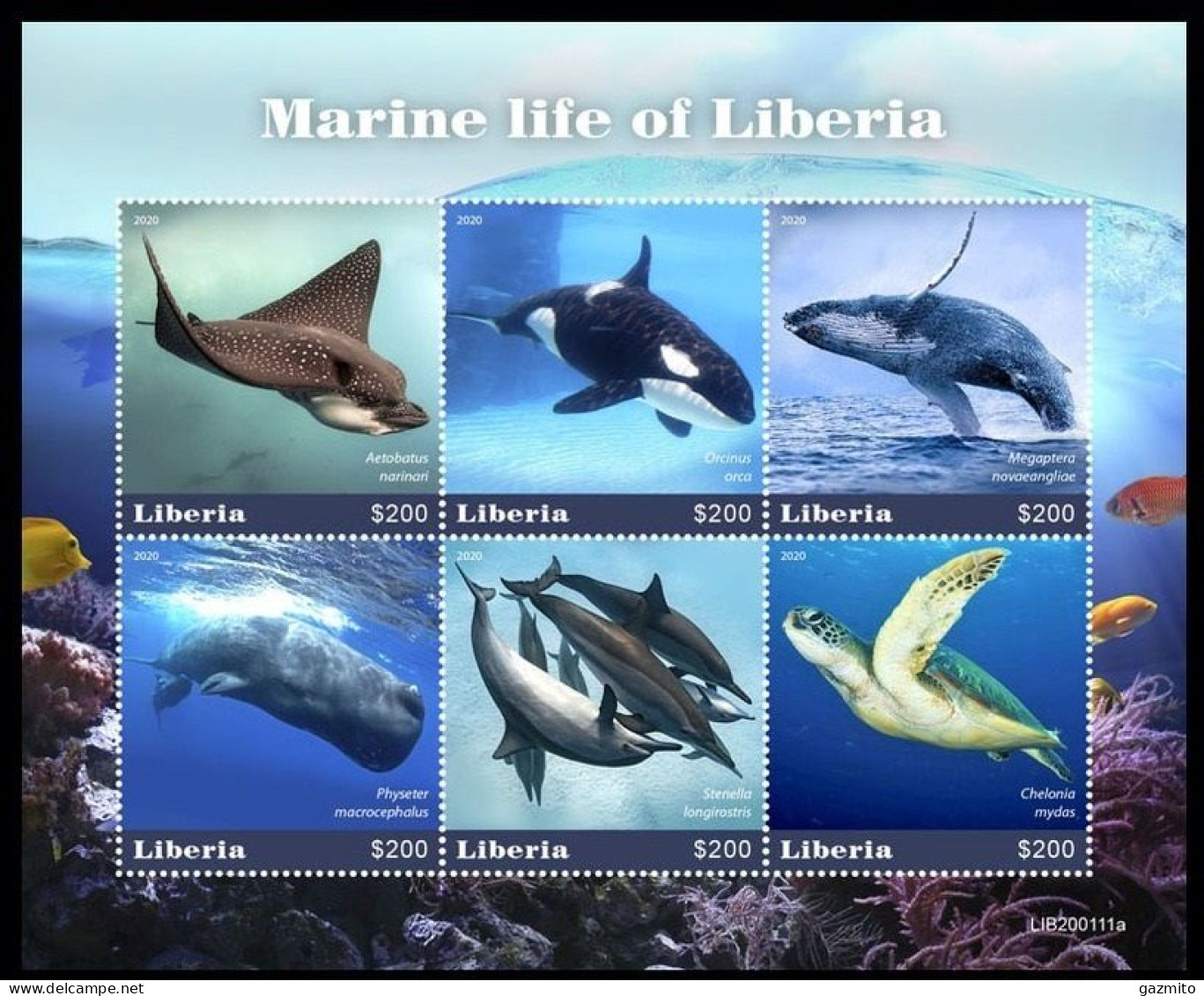 Liberia 2020, Animals, Marine Life, Fishes, Turtle, Whale, Orca, 6val In Block - Vissen