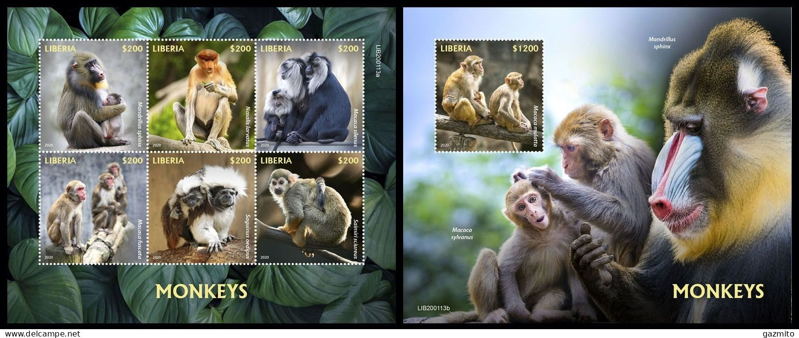 Liberia 2020, Animals, Monkeys, 6val In Block +Block - Liberia