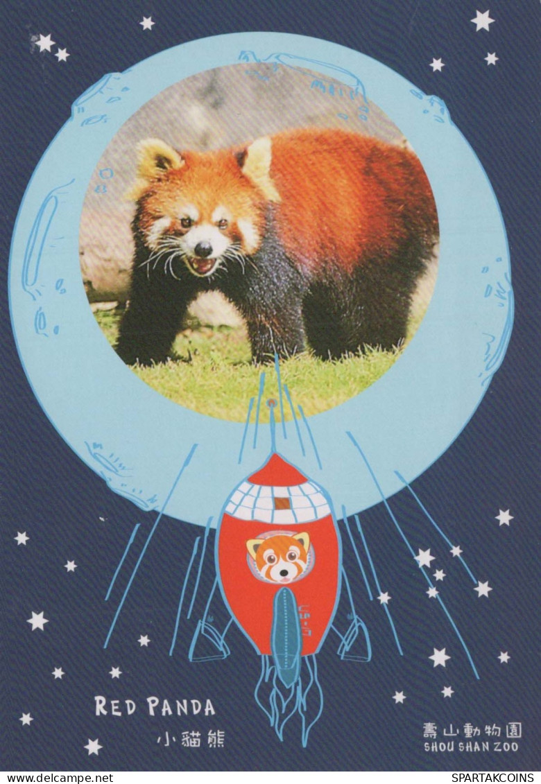 OSO Animales Vintage Tarjeta Postal CPSM #PBS206.A - Bären