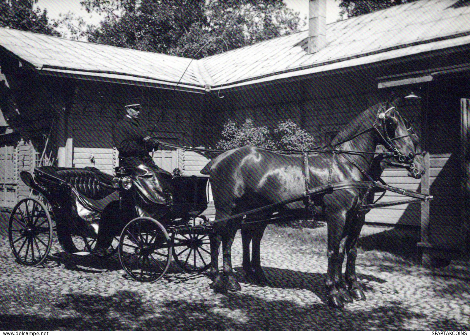 CAVALLO Animale Vintage Cartolina CPSM #PBR921.A - Horses
