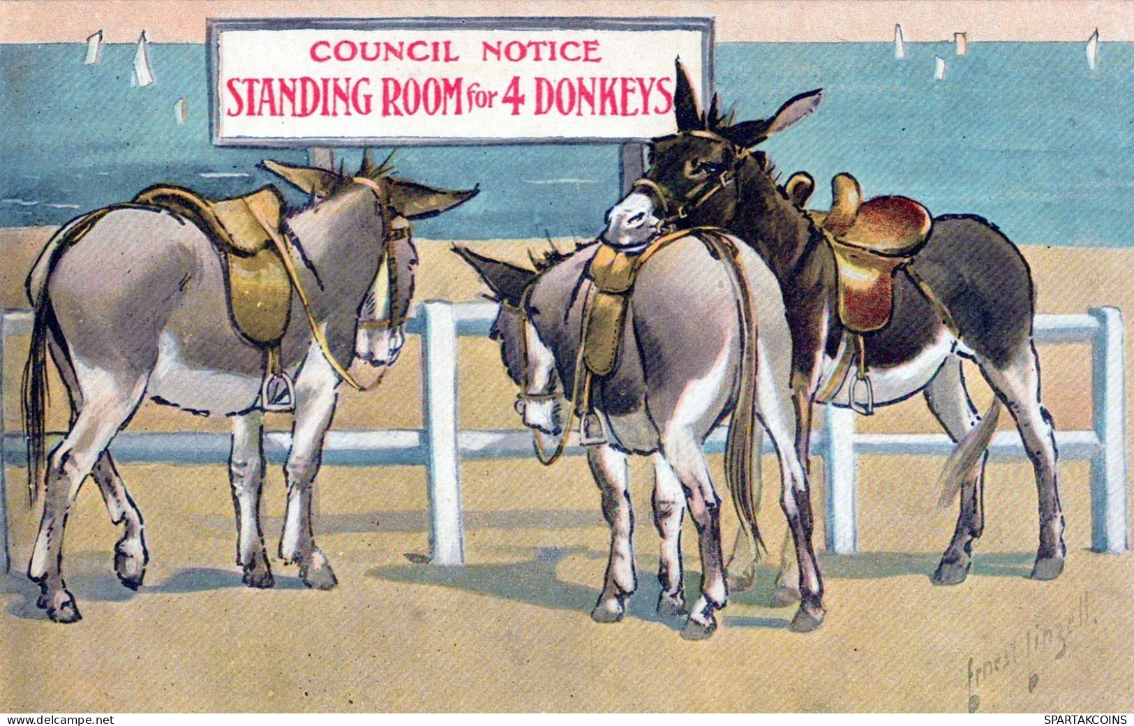 DONKEY Animals Vintage Antique Old CPA Postcard #PAA305.A - Ezels