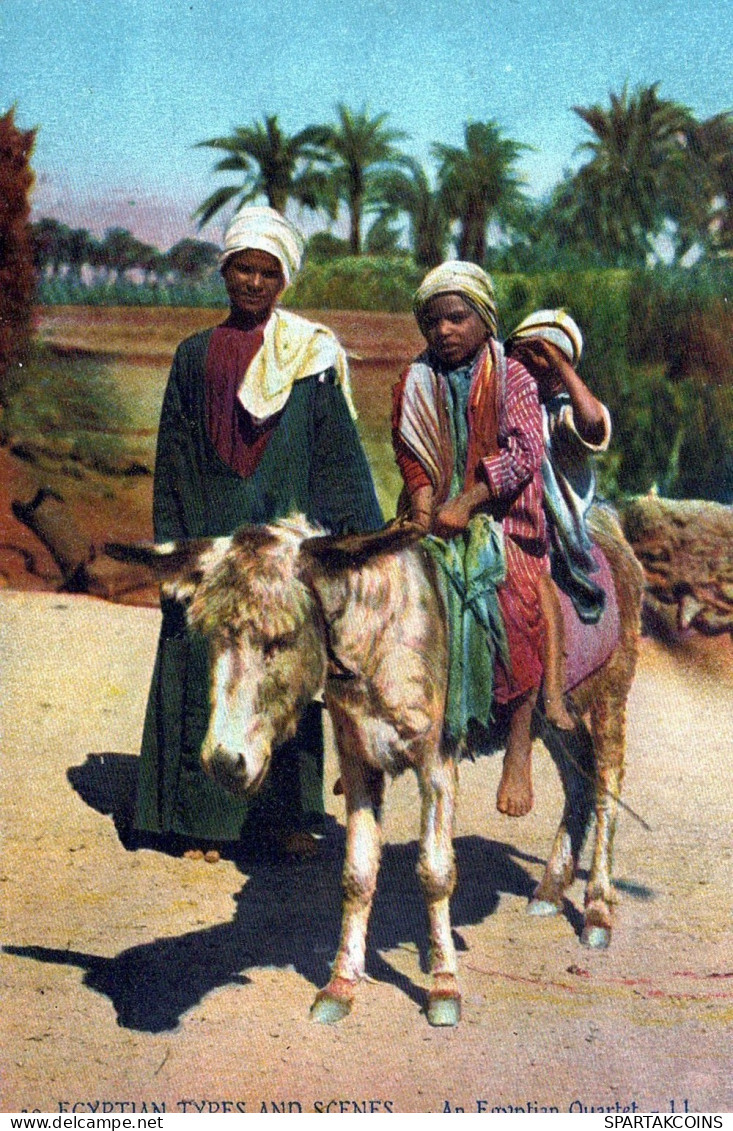 DONKEY Animals Egypt Vintage Antique Old CPA Postcard #PAA160.A - Donkeys