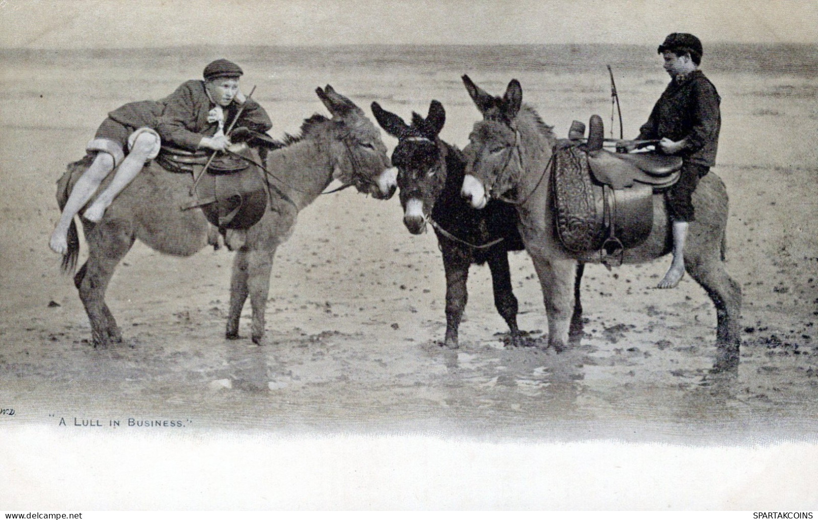 ÂNE Animaux Vintage Antique CPA Carte Postale #PAA071.A - Donkeys