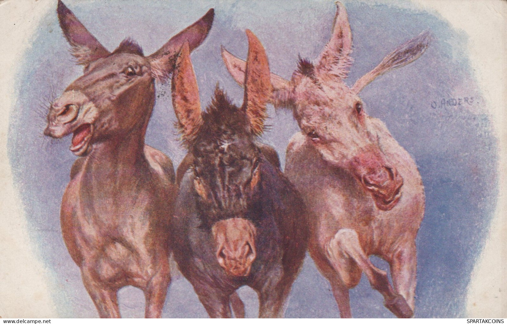 BURRO Animales Vintage Antiguo CPA Tarjeta Postal #PAA132.A - Ezels