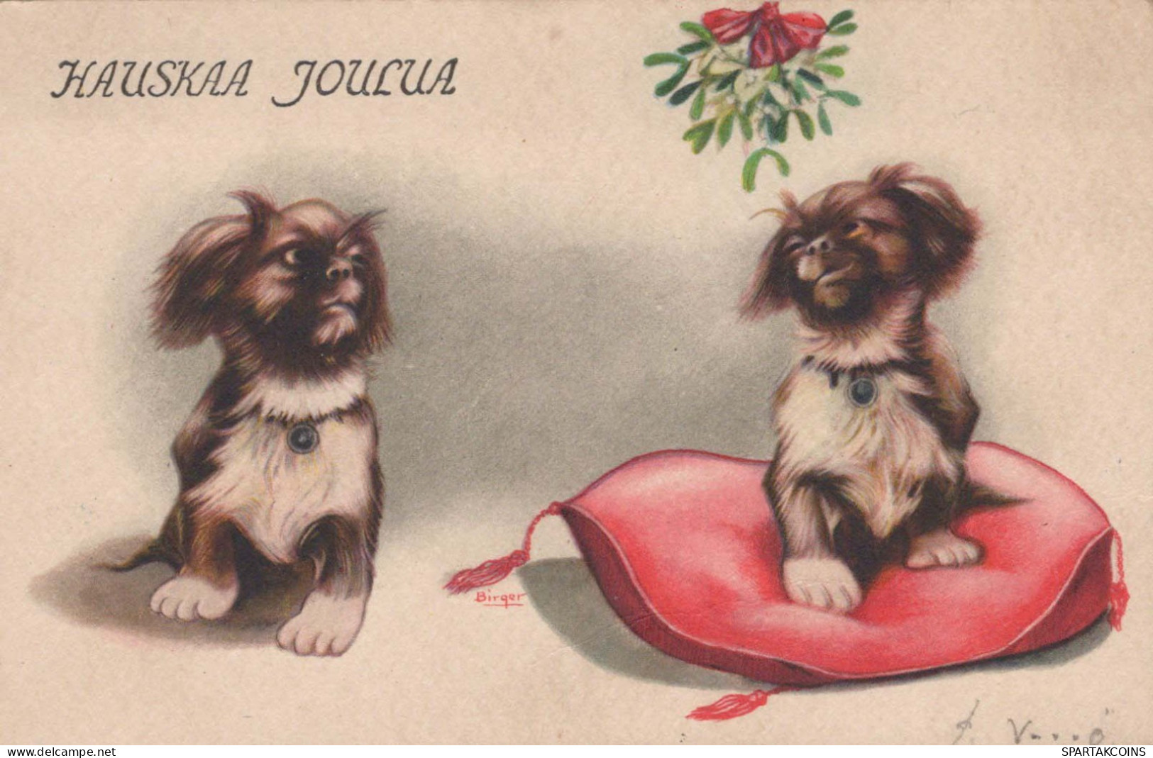 CANE Vintage Cartolina CPSMPF #PKG926.A - Dogs