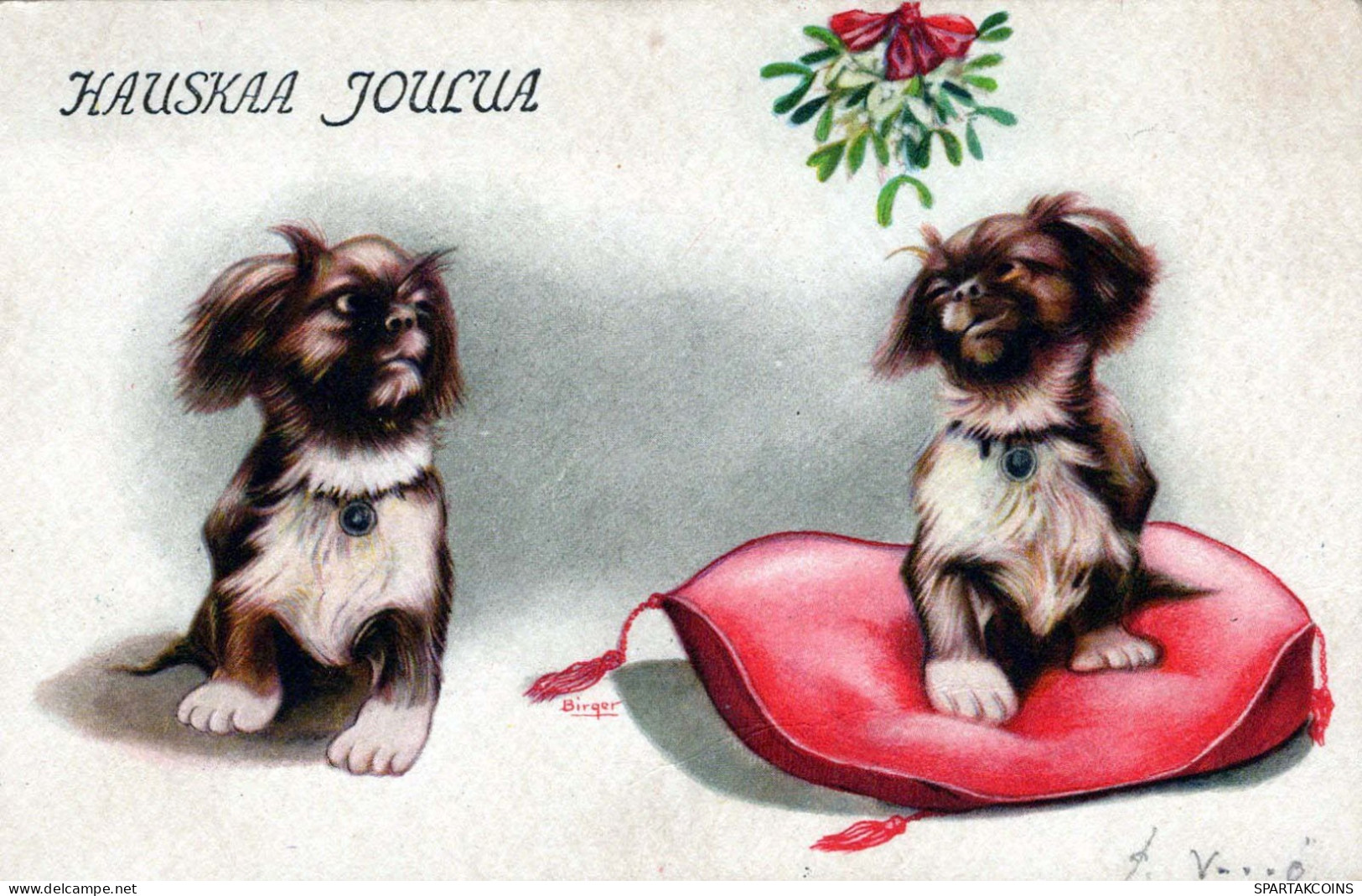 CANE Vintage Cartolina CPSMPF #PKG926.A - Dogs