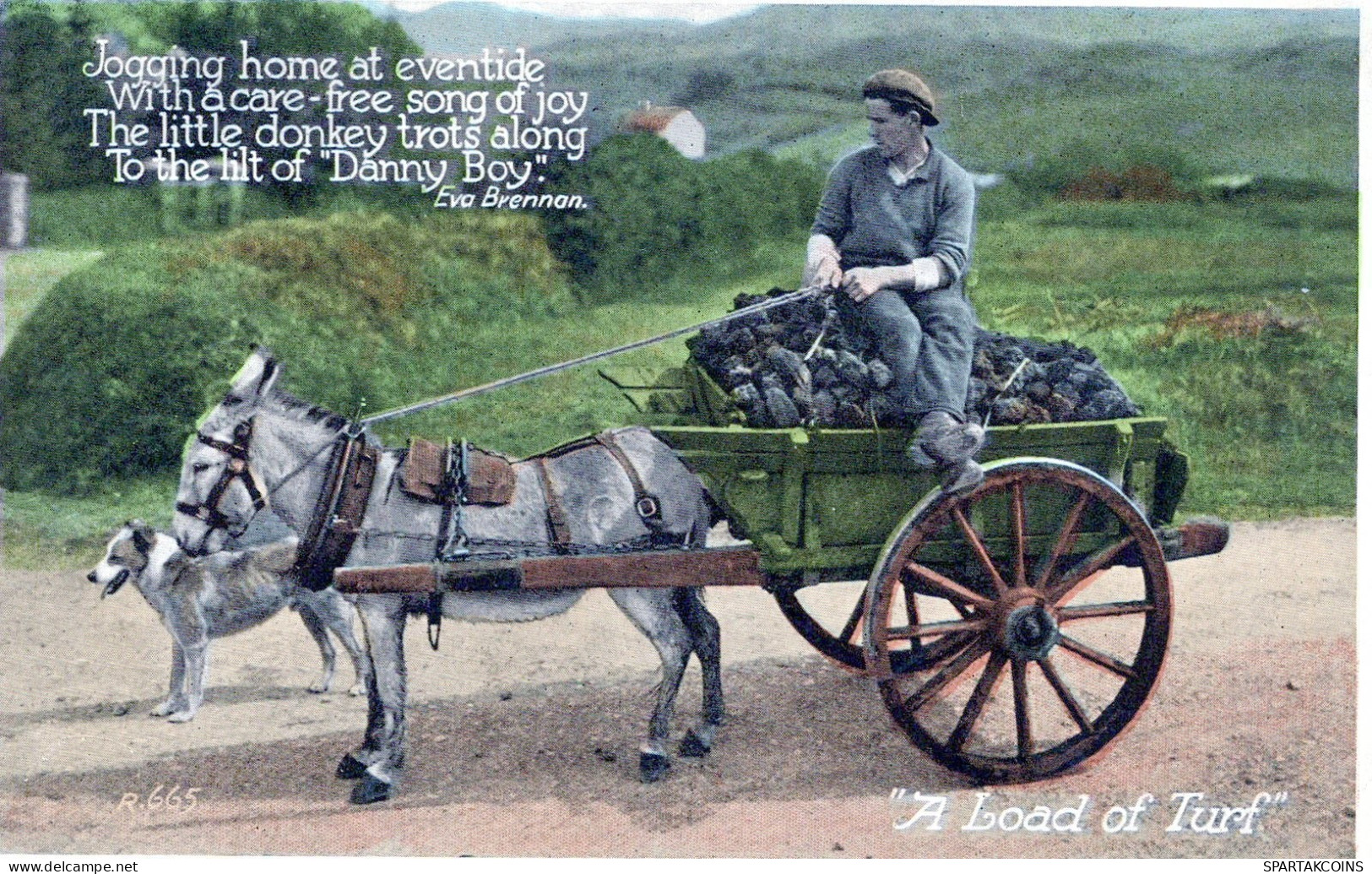 BURRO Animales Vintage Antiguo CPA Tarjeta Postal #PAA002.A - Donkeys