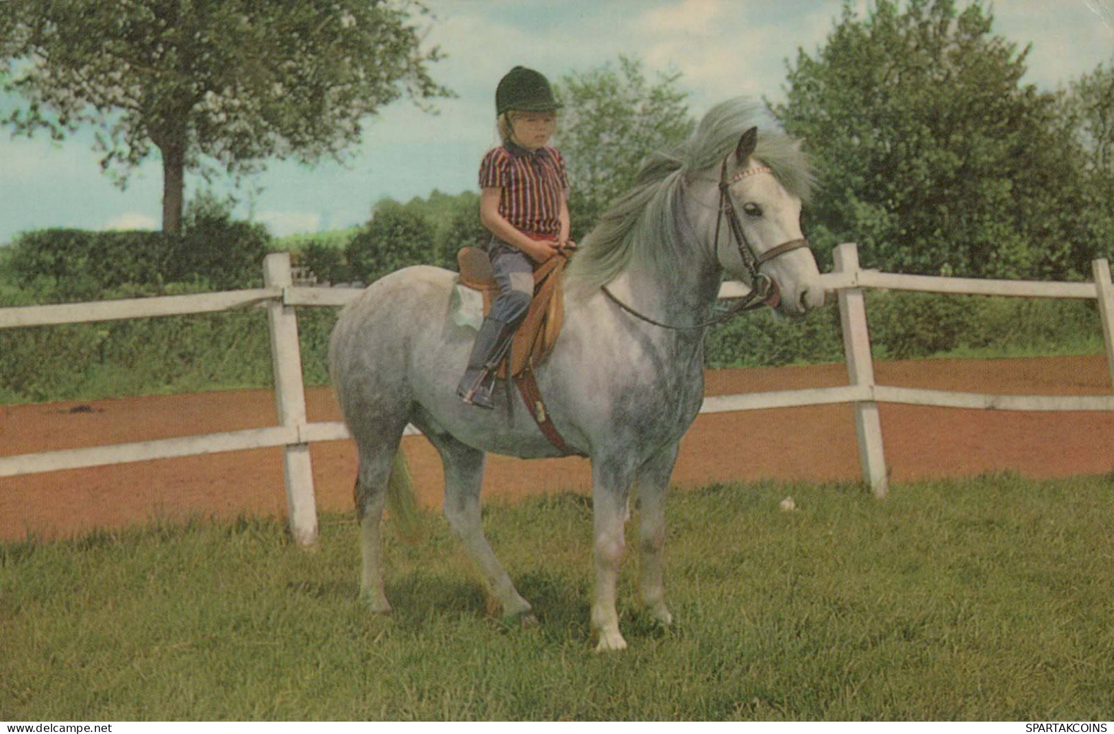 PFERD Tier Vintage Ansichtskarte Postkarte CPA #PKE880.A - Paarden
