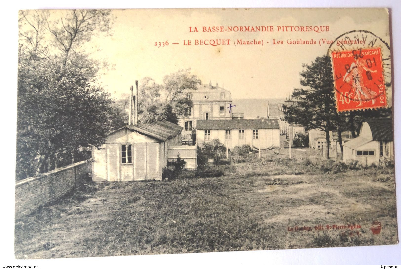 LE BECQUET. Les Goëlands (vue Générale) - Other & Unclassified