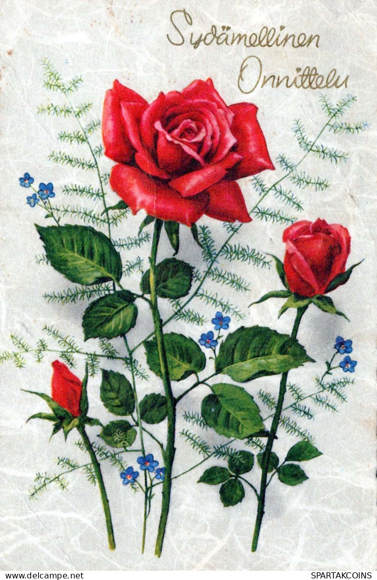 FLOWERS Vintage Ansichtskarte Postkarte CPA #PKE620.A - Blumen