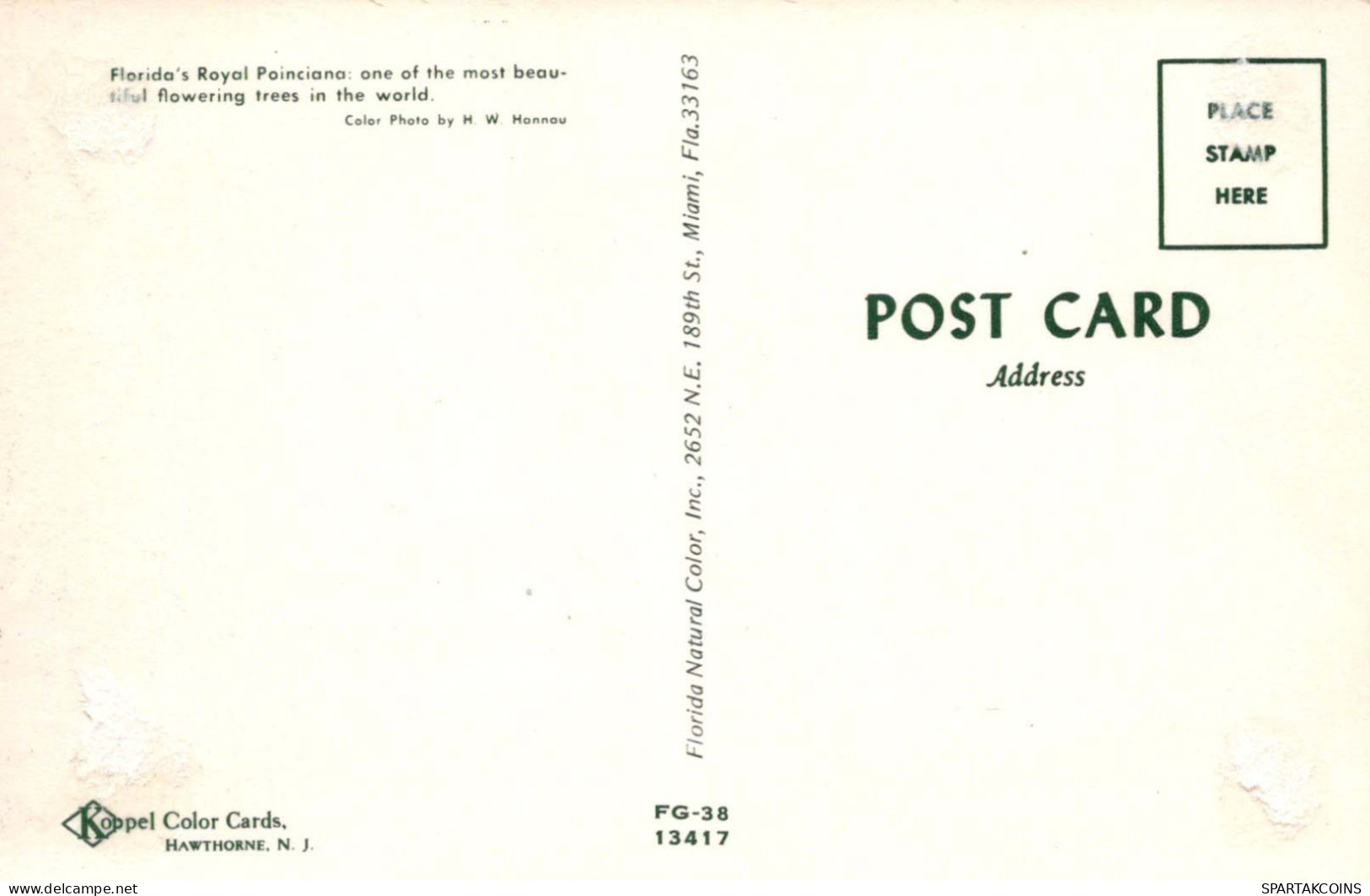 FLEURS Vintage Carte Postale CPA #PKE504.A - Flowers