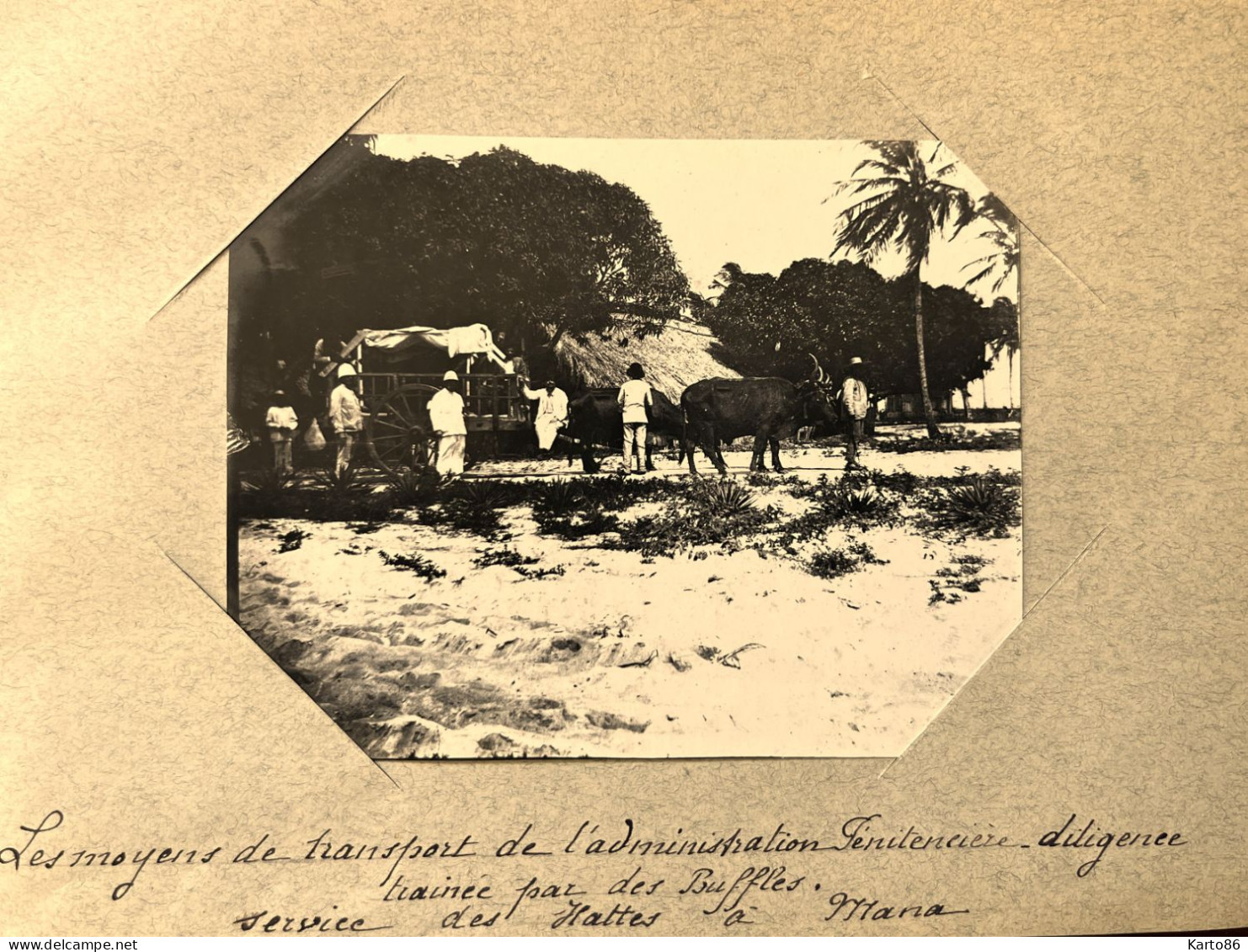 Mana , Guyane * Diligence De L'administation Pénitencière Services Des Hattes * Prison RARE Photo Circa 1890/1910 10x8cm - Sonstige & Ohne Zuordnung