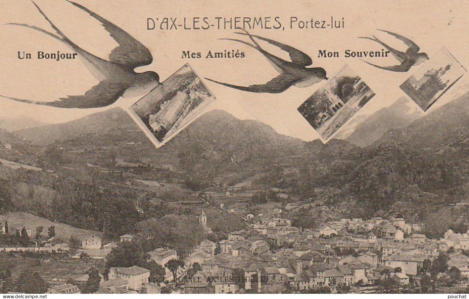 OP 145-(09) " D' AX LES THERMES , PORTEZ  LUI " - CARTE FANTAISIE MULTIVUES - TRIO D' HIRONDELLES  - 2 SCANS - Ax Les Thermes