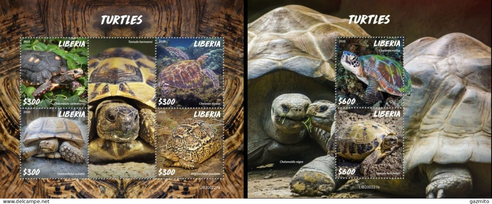 Liberia 2020, Animals, Turtles, 4val In BF+BF - Schildkröten