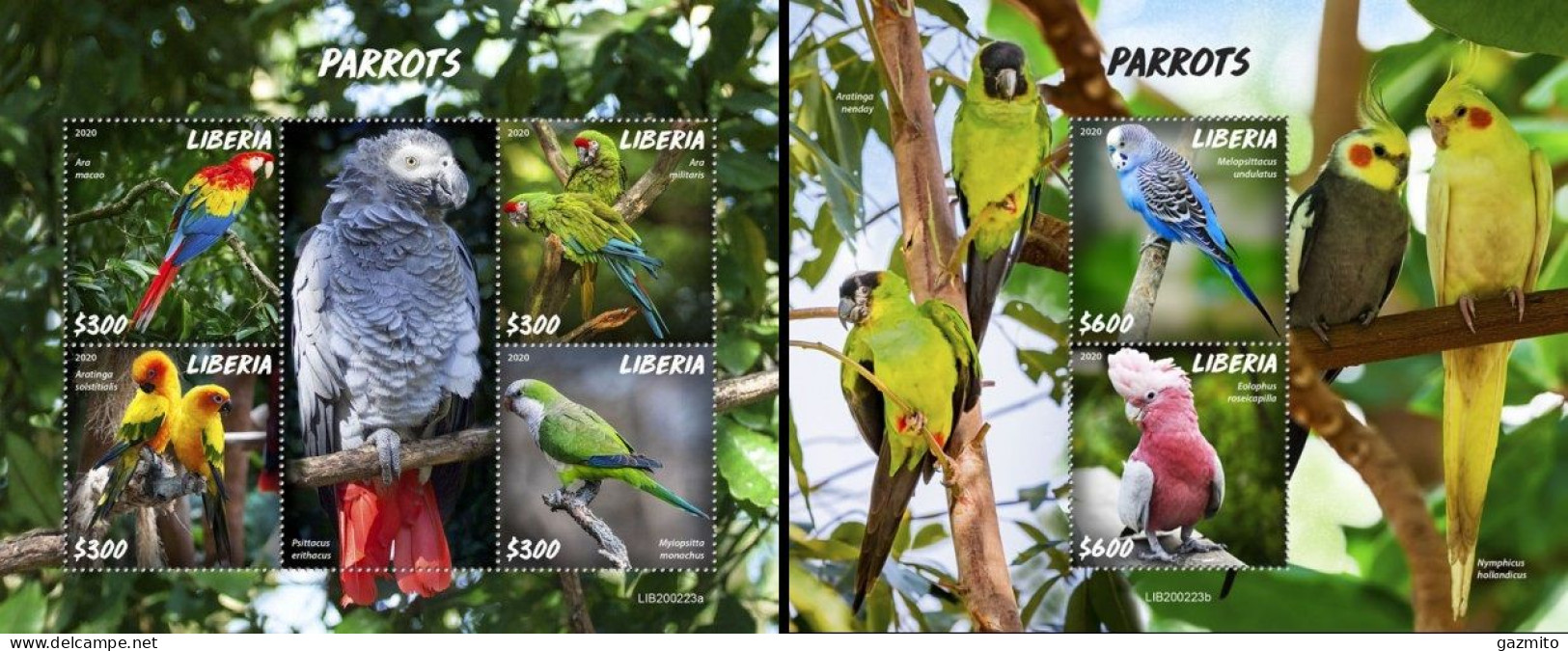 Liberia 2020, Animals, Parrots, 4val In BF+BF - Parrots
