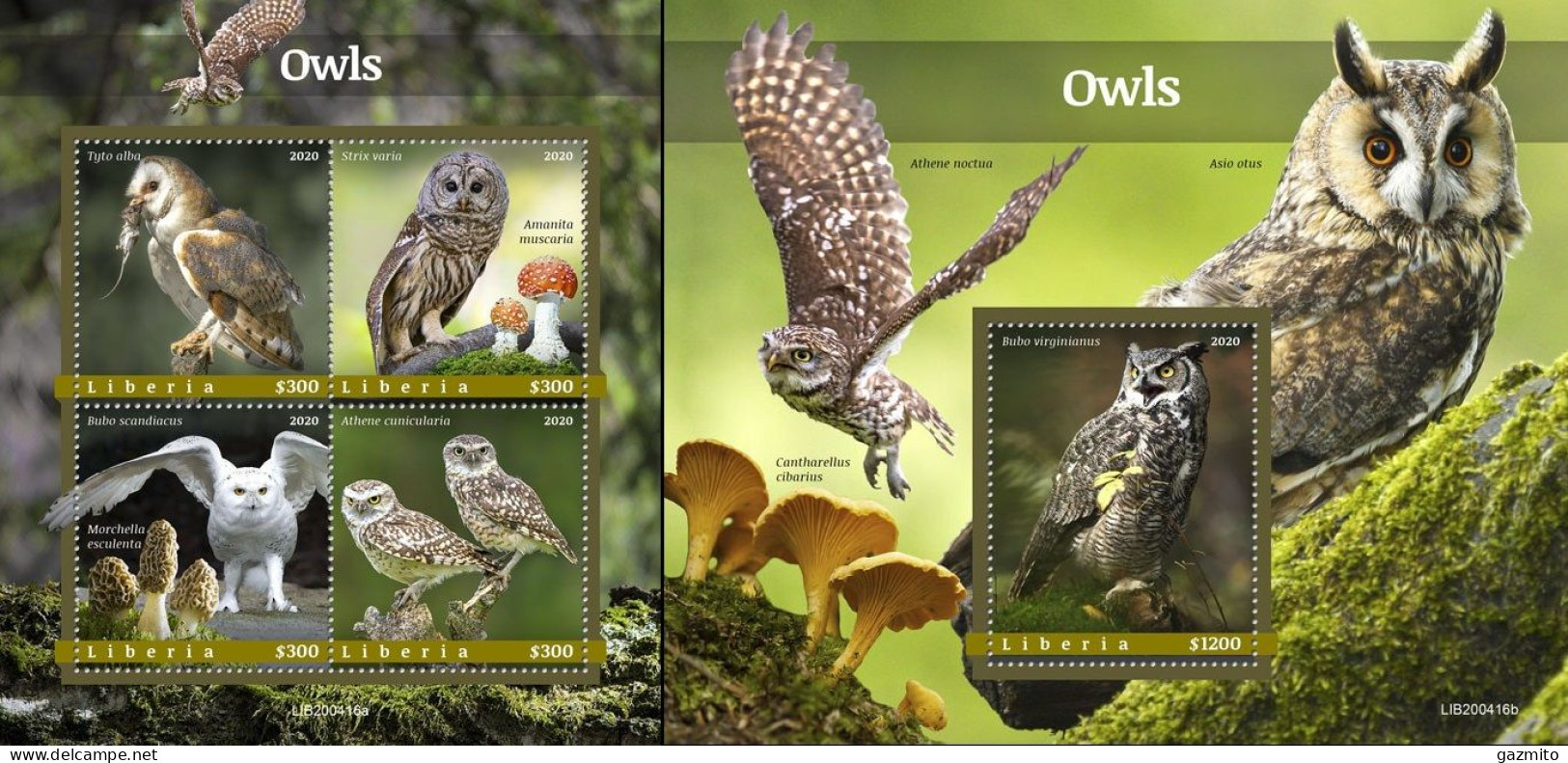 Liberia 2020, Animals, Owls And Mushrooms II, 4val In BF+BF - Owls