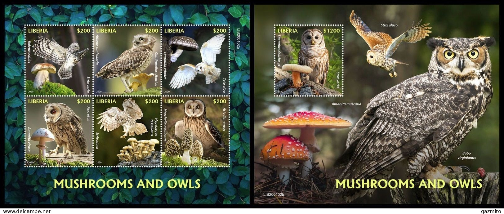 Liberia 2020, Animals, Owls And Mushrooms I, 6val In Block +Block - Búhos, Lechuza