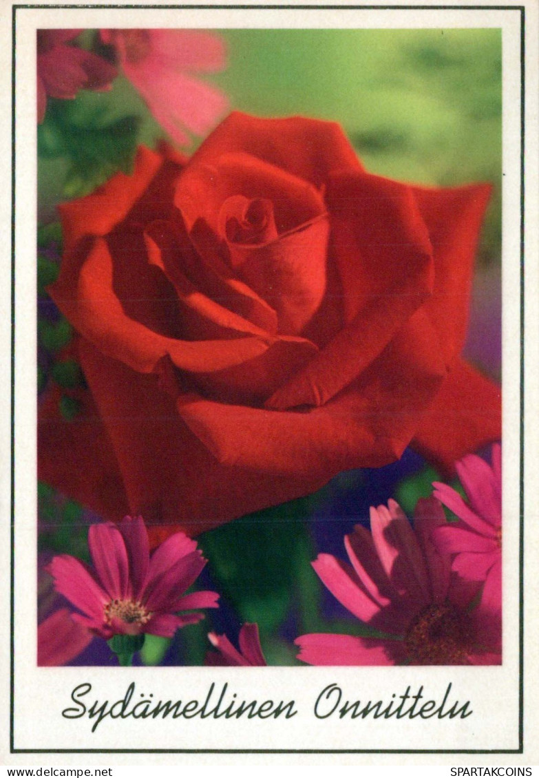 FLOWERS Vintage Ansichtskarte Postkarte CPSM #PAS215.DE - Flowers