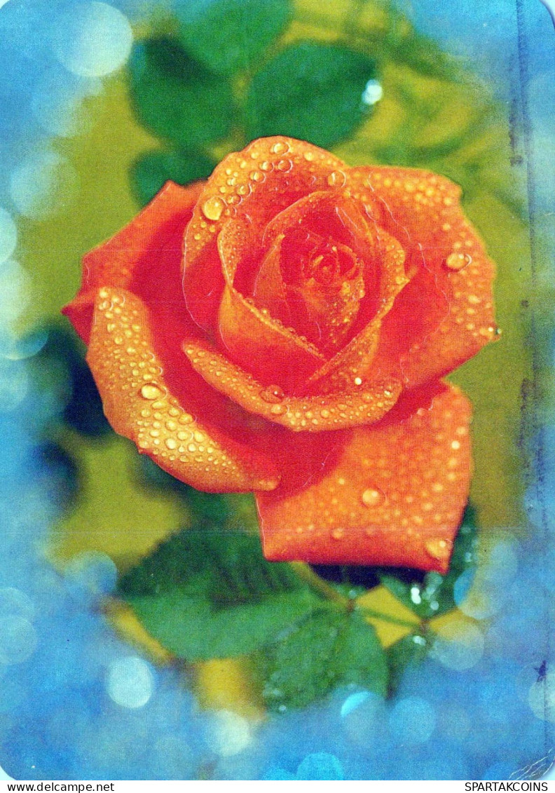 FLOWERS Vintage Ansichtskarte Postkarte CPSM #PAS335.DE - Flowers