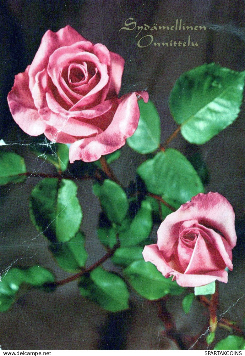 FLOWERS Vintage Ansichtskarte Postkarte CPSM #PAS155.DE - Flowers