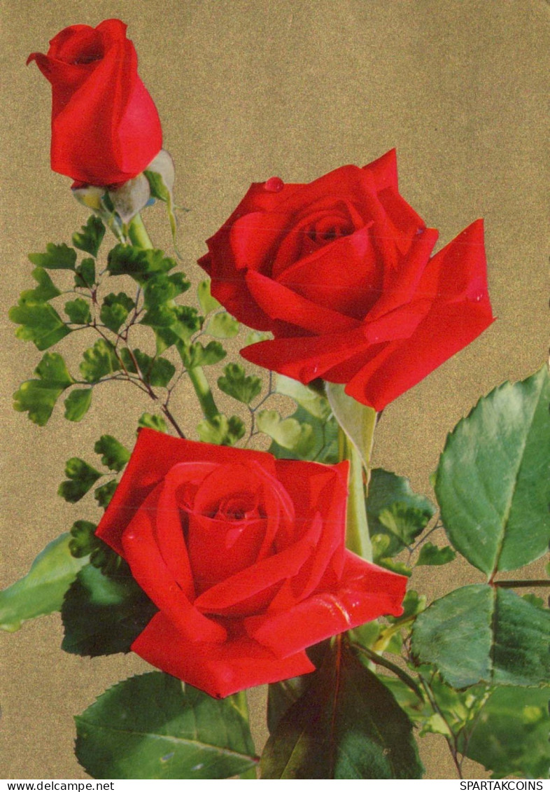 FLOWERS Vintage Ansichtskarte Postkarte CPSM #PAR914.DE - Fleurs