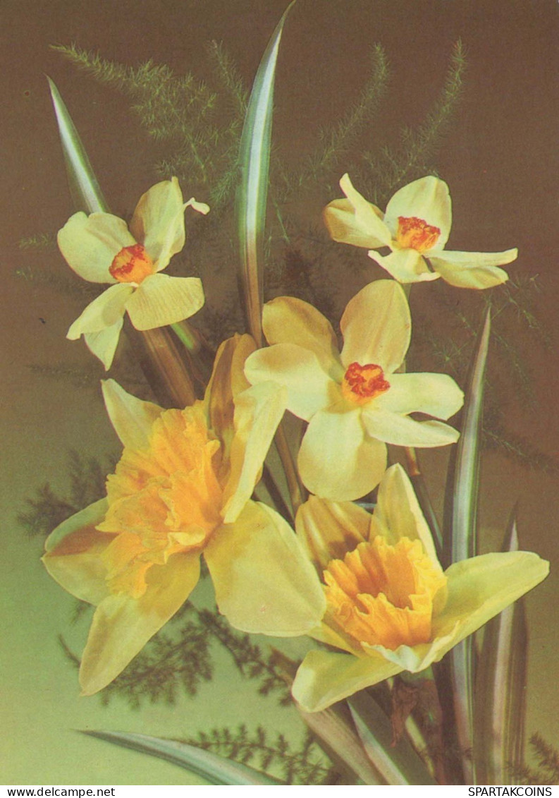 FLOWERS Vintage Ansichtskarte Postkarte CPSM #PAR434.DE - Flowers
