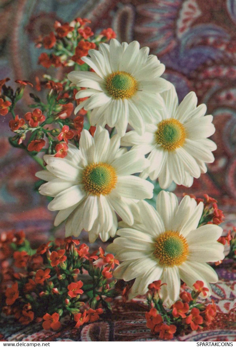 FLOWERS Vintage Ansichtskarte Postkarte CPSM #PAR674.DE - Flowers
