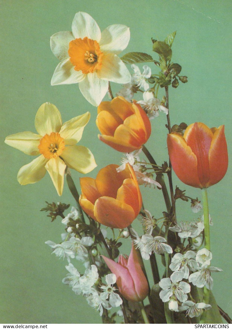FLOWERS Vintage Ansichtskarte Postkarte CPSM #PAR313.DE - Blumen