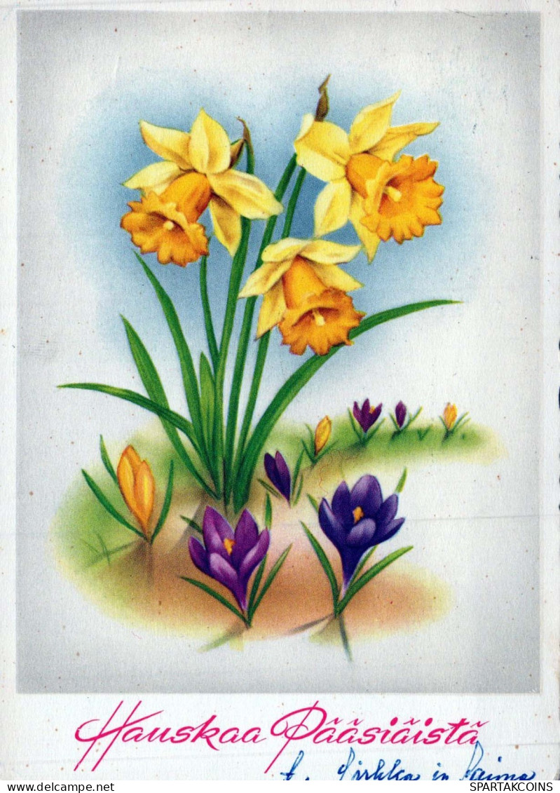 FLOWERS Vintage Ansichtskarte Postkarte CPSM #PAR072.DE - Blumen