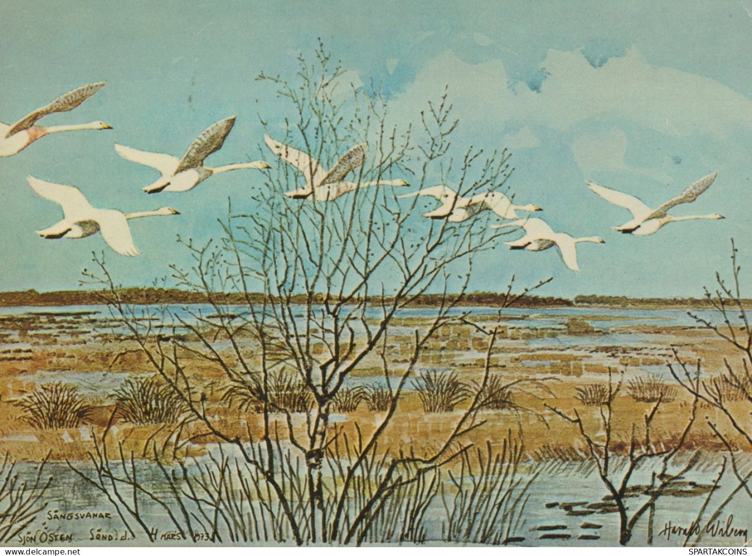 VOGEL Tier Vintage Ansichtskarte Postkarte CPSM #PAN297.DE - Oiseaux