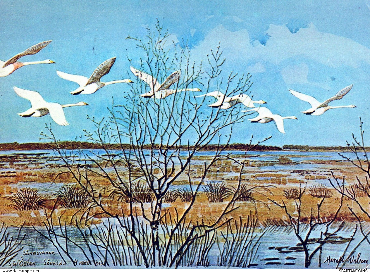VOGEL Tier Vintage Ansichtskarte Postkarte CPSM #PAN297.DE - Vögel