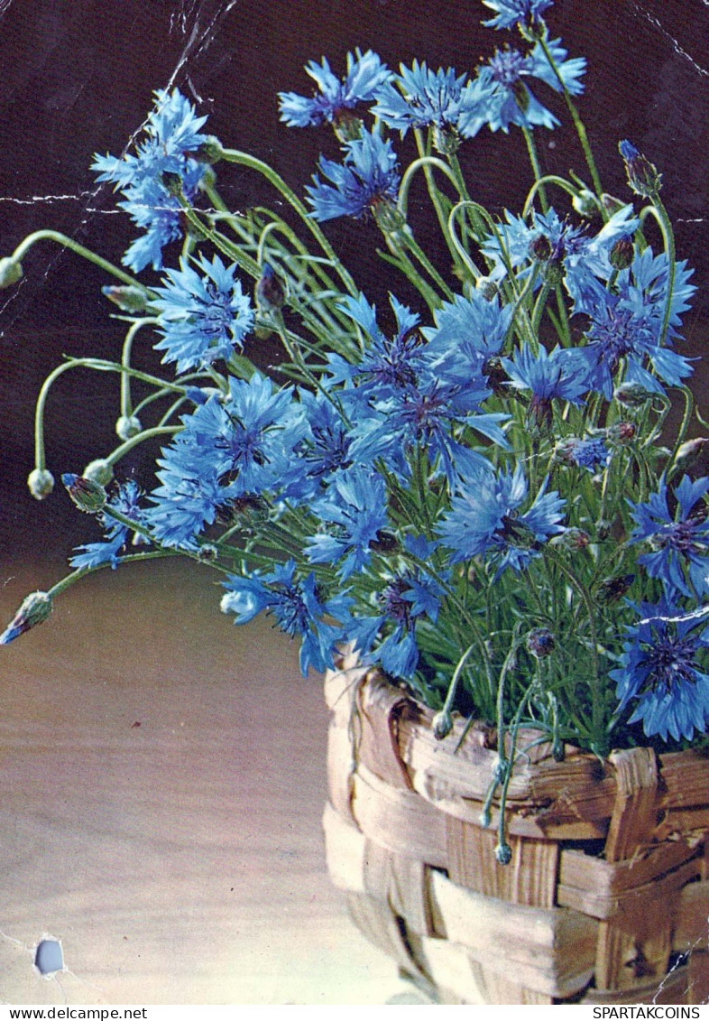 FLOWERS Vintage Ansichtskarte Postkarte CPSM #PAR193.DE - Blumen