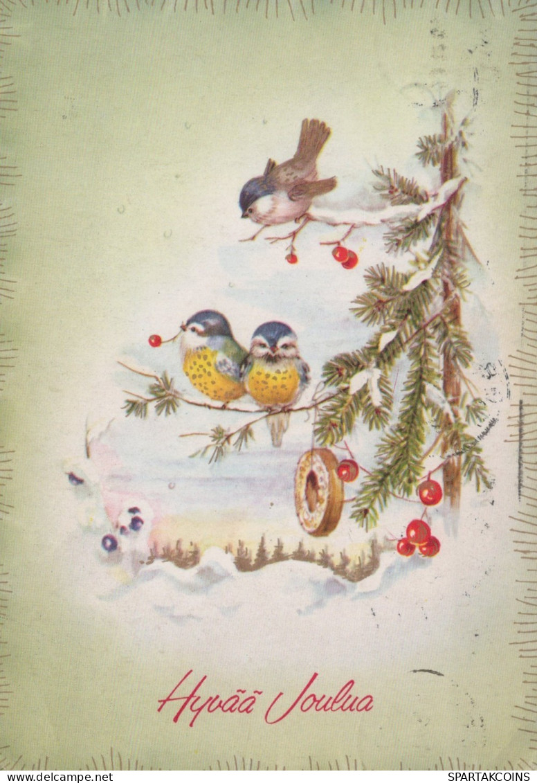 VOGEL Tier Vintage Ansichtskarte Postkarte CPSM #PAM866.DE - Vögel